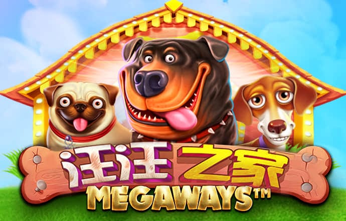 Dg体育足球网